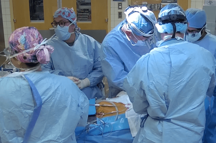 Doctor Jae Cho in the OR performing an open-heart bypass graft.